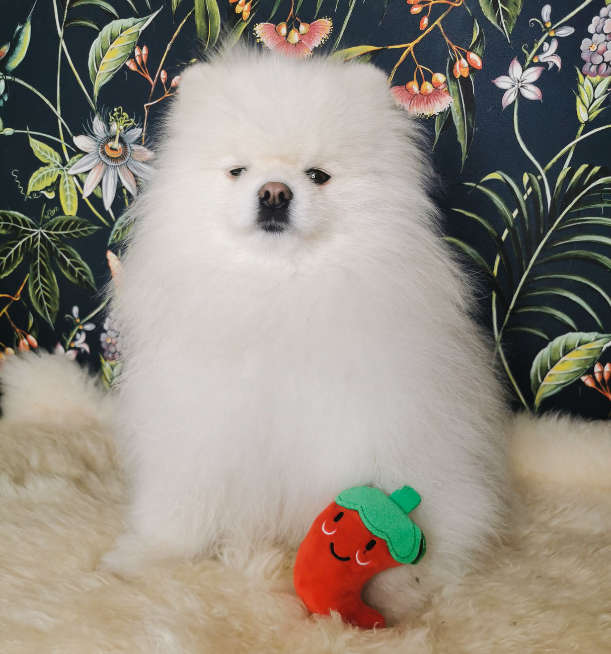 Frenkiez Veggiez Pepper - Premium Hondenspeeltje > Hondenspeelgoed from Frenkiez - Just €5! Shop now at Frenkiezdogshop