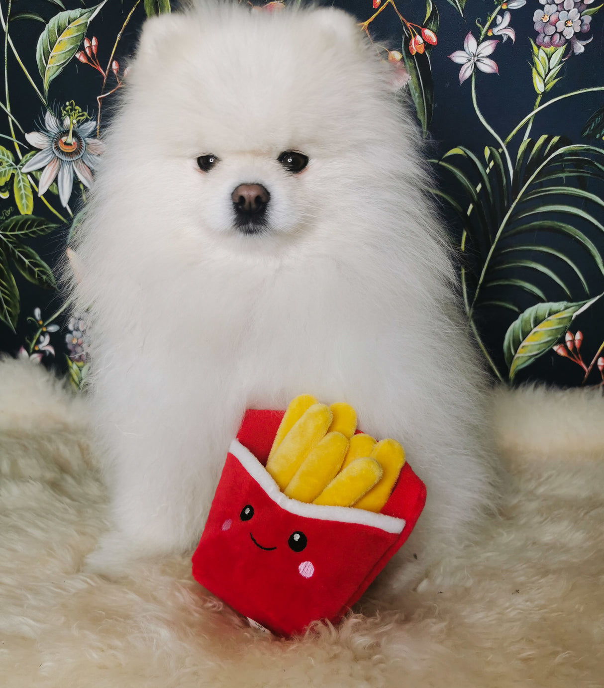 Frenkiez Snackz Frites - Premium Hondenspeeltje > Hondenspeelgoed from Frenkiez - Just €5! Shop now at Frenkiezdogshop