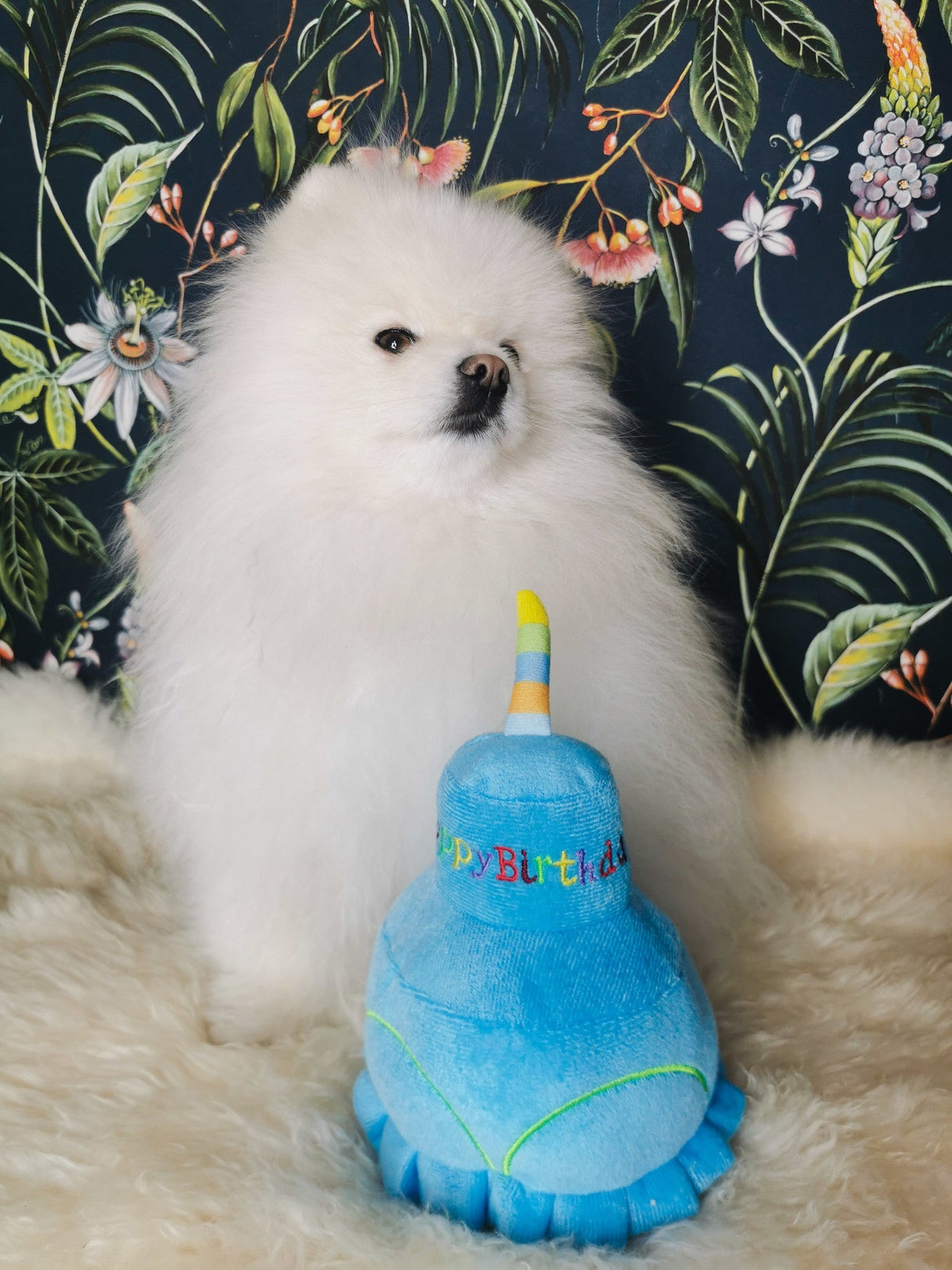 Frenkiez Partyz Cake Blue - Premium Hondenspeeltje > Hondenspeelgoed from Frenkiez - Just €9.99! Shop now at Frenkiezdogshop