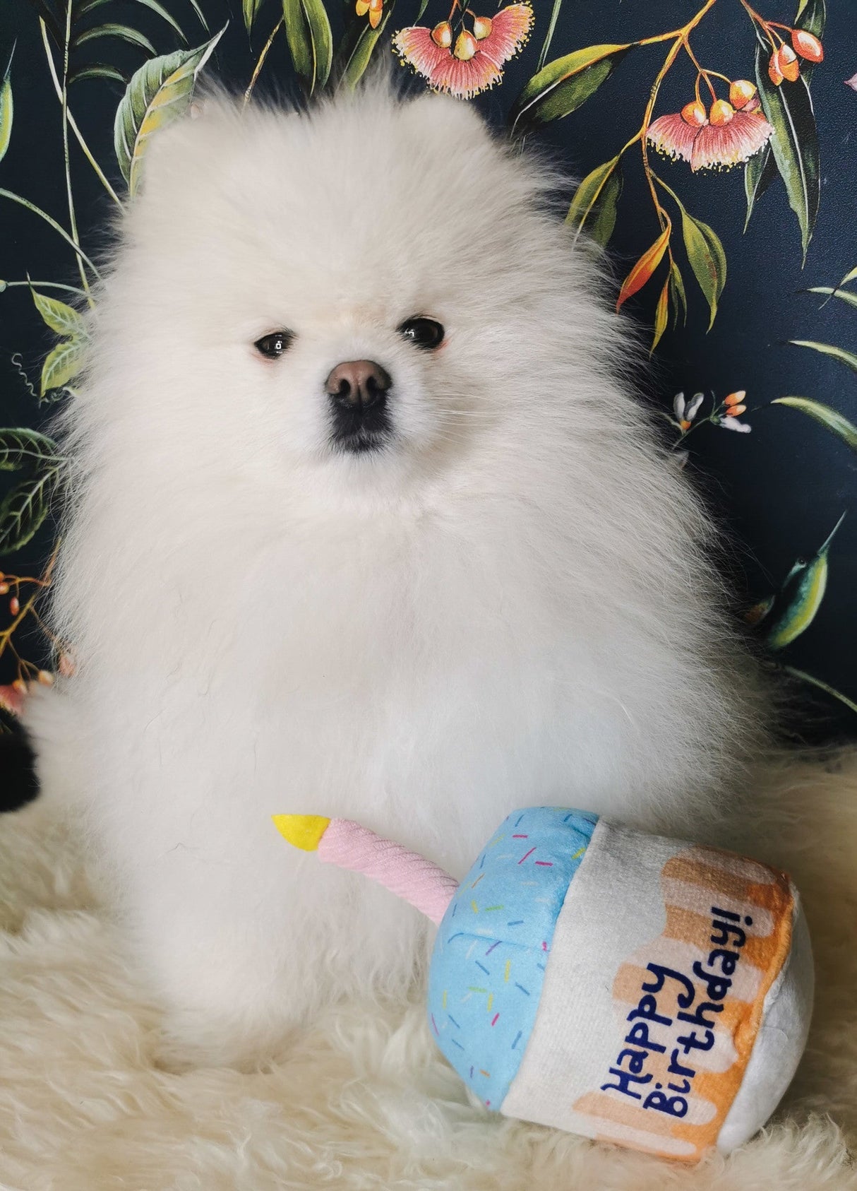 Frenkiez Partyz Cupcake Blue - Premium Hondenspeeltje > Hondenspeelgoed from Frenkiez - Just €8.99! Shop now at Frenkiezdogshop