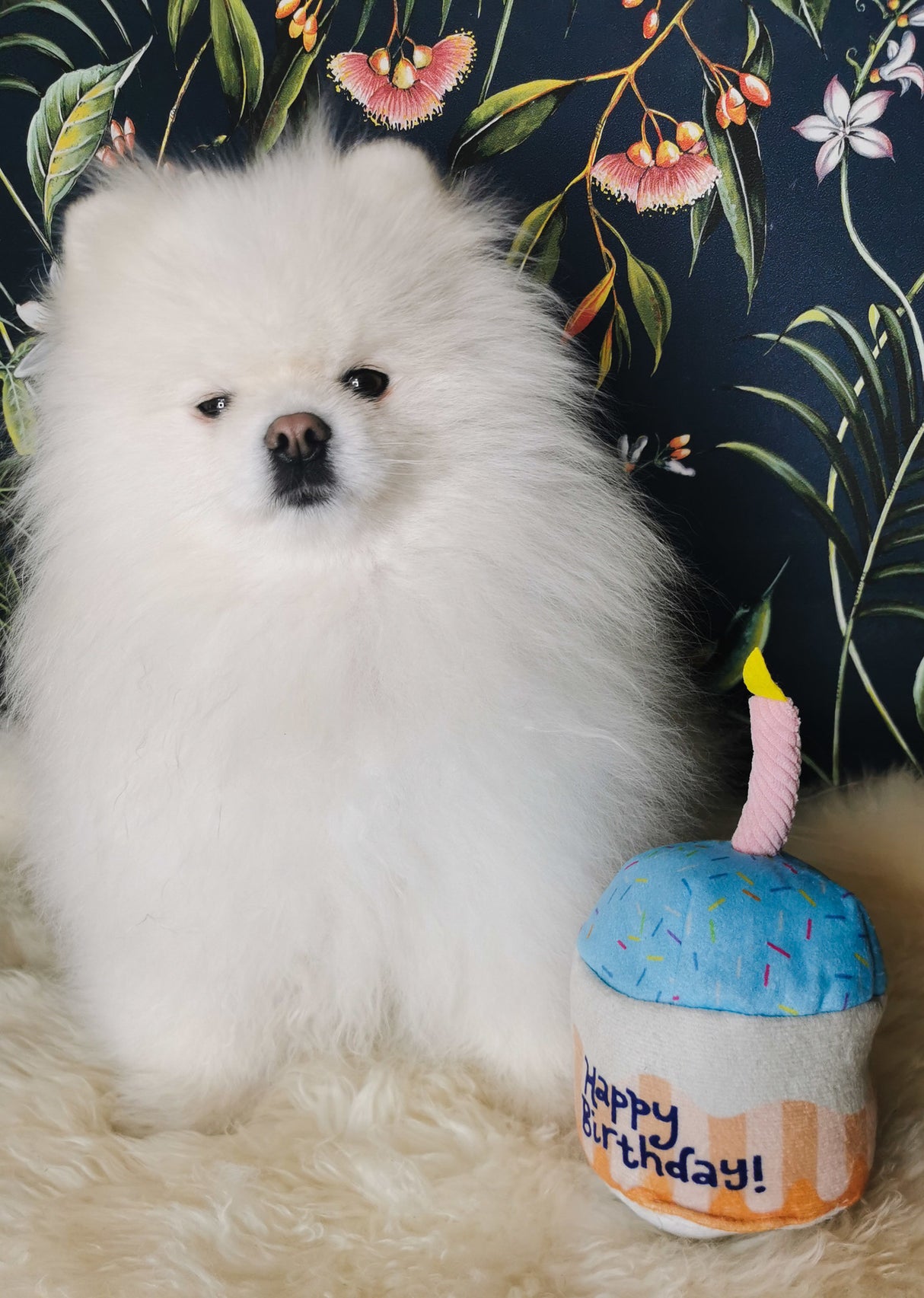 Frenkiez Partyz Cupcake Blue - Premium Hondenspeeltje > Hondenspeelgoed from Frenkiez - Just €8.99! Shop now at Frenkiezdogshop