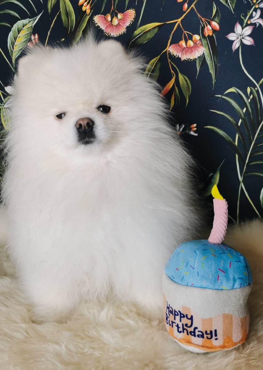 Frenkiez Partyz Cupcake Blue Hondenspeeltje > Hondenspeelgoed Standaard/One Size