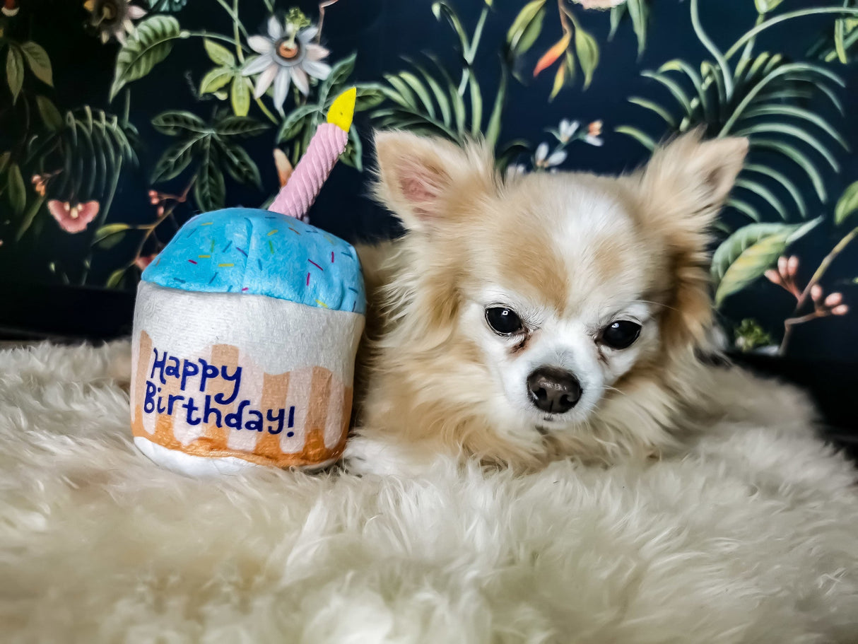 Frenkiez Partyz Cupcake Blue - Premium Hondenspeeltje > Hondenspeelgoed from Frenkiez - Just €8.99! Shop now at Frenkiezdogshop