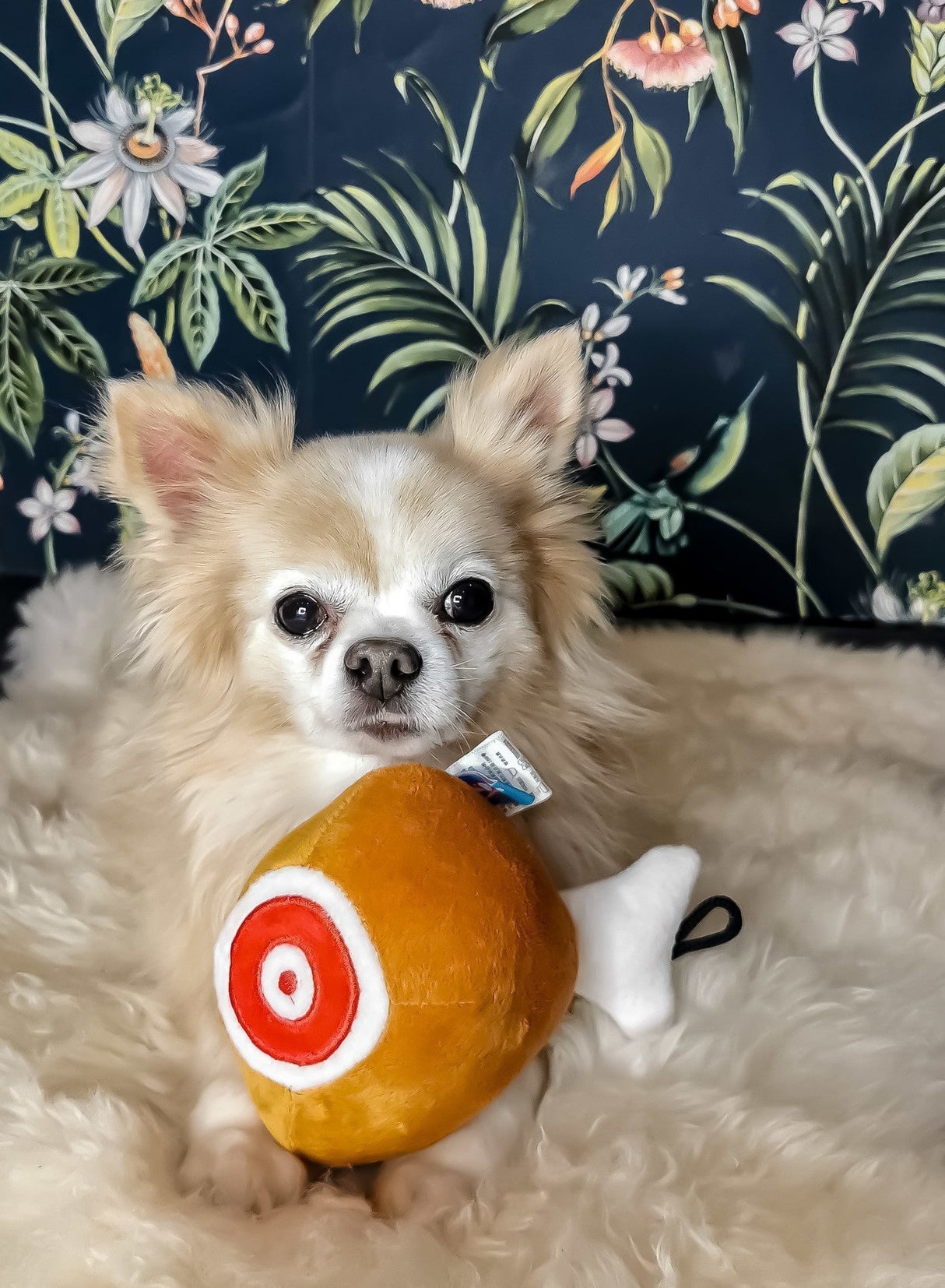 Frenkiez Snackz Chicken - Premium Hondenspeeltje > Hondenspeelgoed from Frenkiez - Just €5! Shop now at Frenkiezdogshop