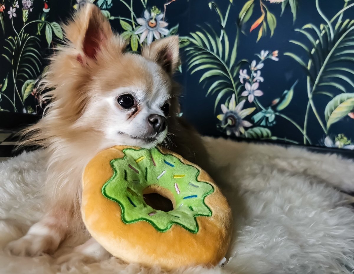 Frenkiez Sweetz Green Donut Hondenspeeltje > Hondenspeelgoed one - size