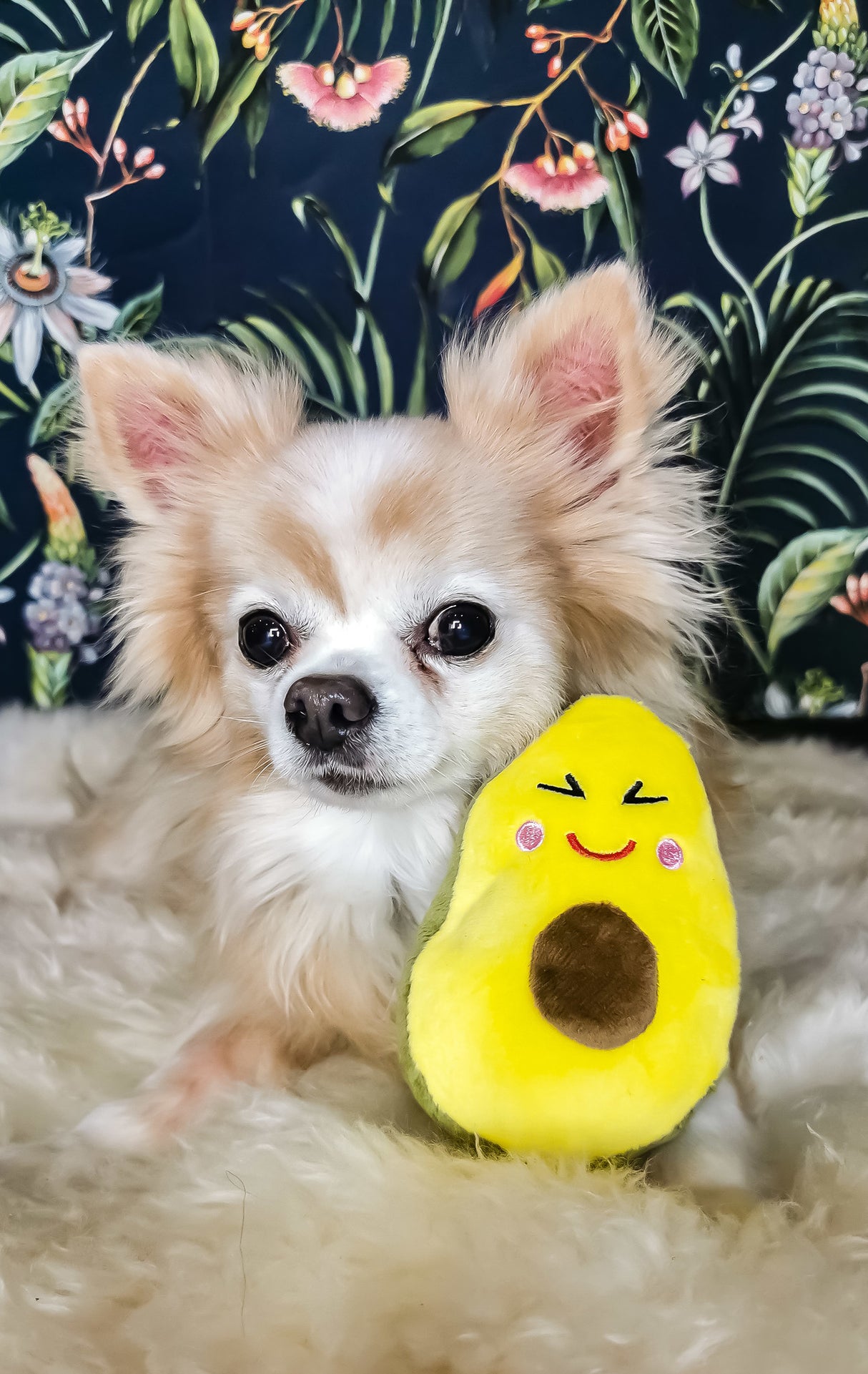 Frenkiez Veggiez Advocado 2.0 - Premium Hondenspeeltje > Hondenspeelgoed from Frenkiez - Just €5! Shop now at Frenkiezdogshop