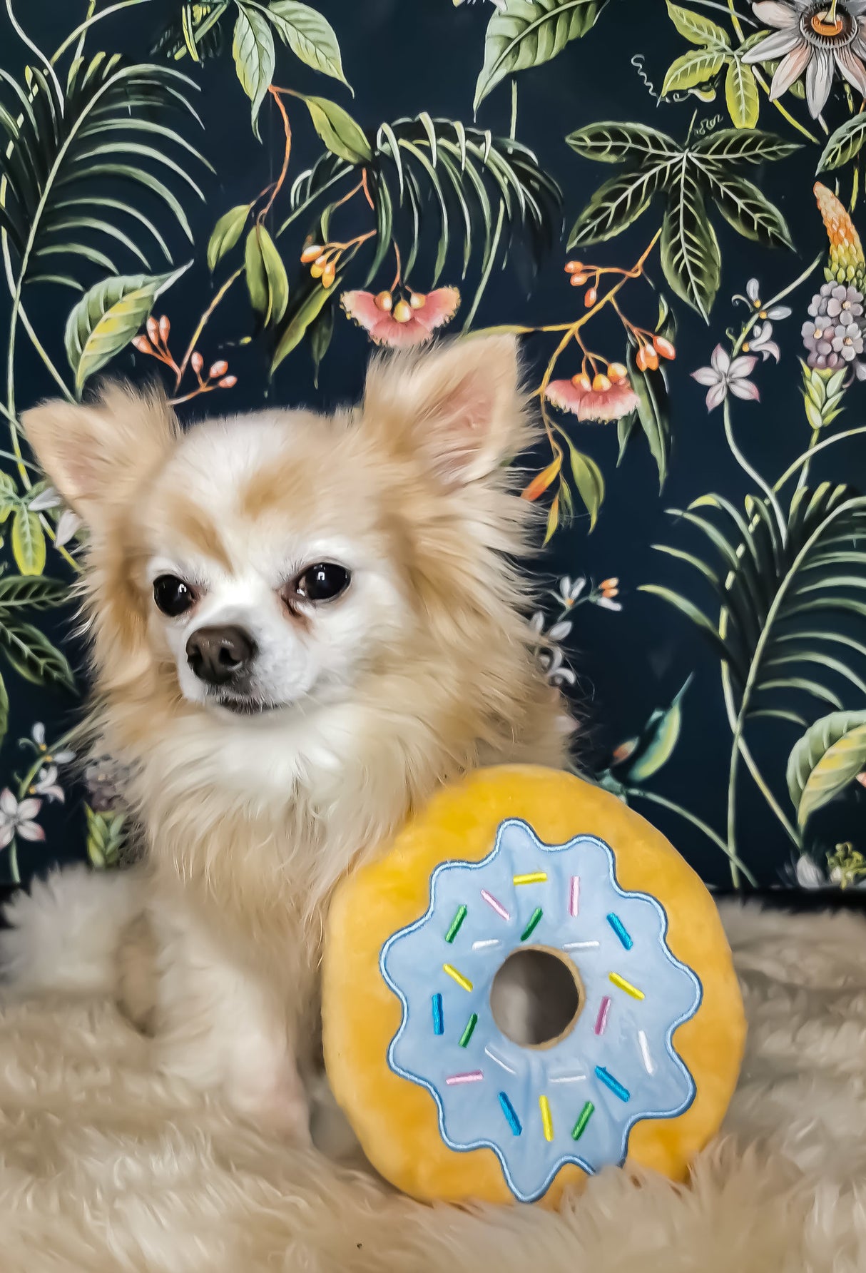 Frenkiez Sweetz Lightblue Donut - Premium Hondenspeeltje > Hondenspeelgoed from Frenkiez - Just €5! Shop now at Frenkiezdogshop