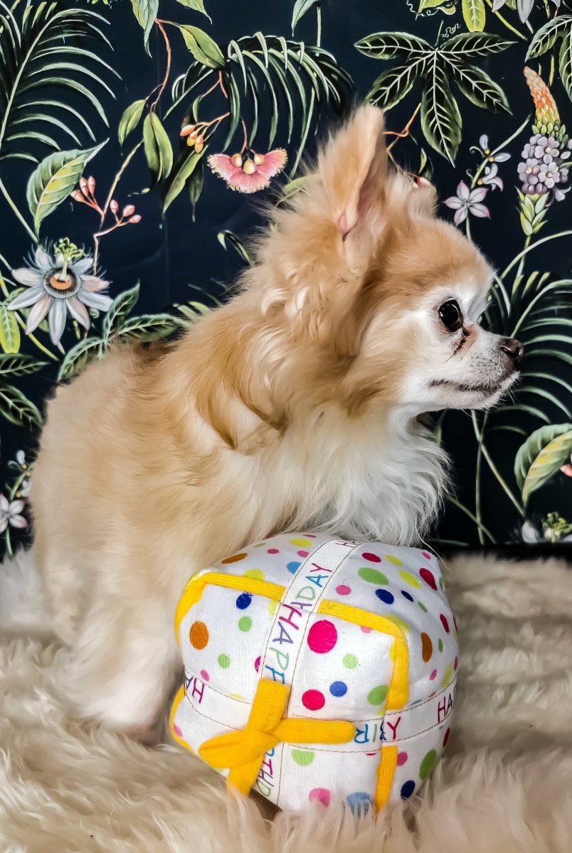 Frenkiez Partyz Present Hondenspeeltje > Hondenspeelgoed Standaard/One Size