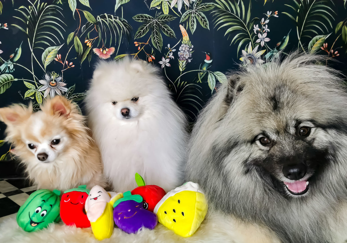 Frenkiez Veggiez Pepper - Premium Hondenspeeltje > Hondenspeelgoed from Frenkiez - Just €5! Shop now at Frenkiezdogshop