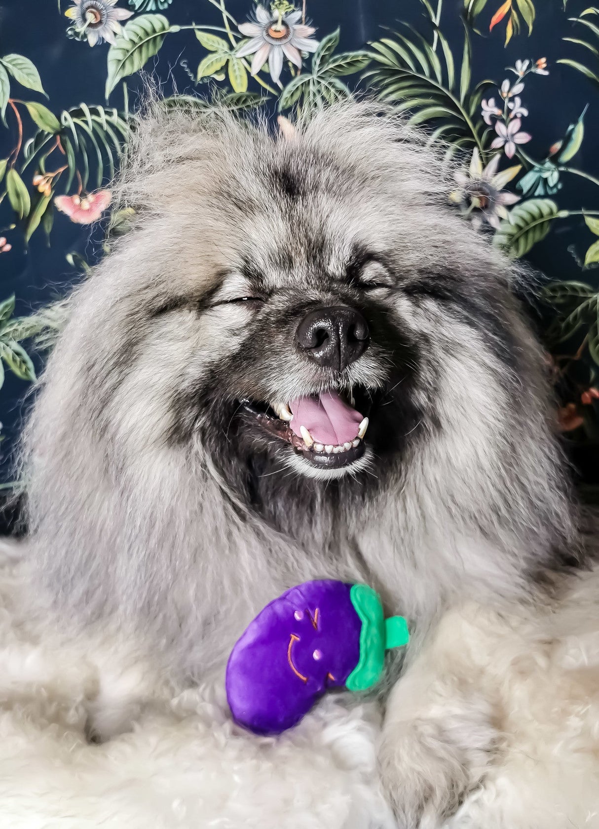 Frenkiez Veggiez Eggplant - Premium Hondenspeeltje > Hondenspeelgoed from Frenkiez - Just €6.99! Shop now at Frenkiezdogshop