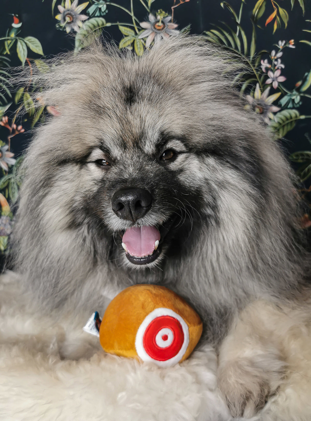 Frenkiez Snackz Chicken - Premium Hondenspeeltje > Hondenspeelgoed from Frenkiez - Just €5! Shop now at Frenkiezdogshop