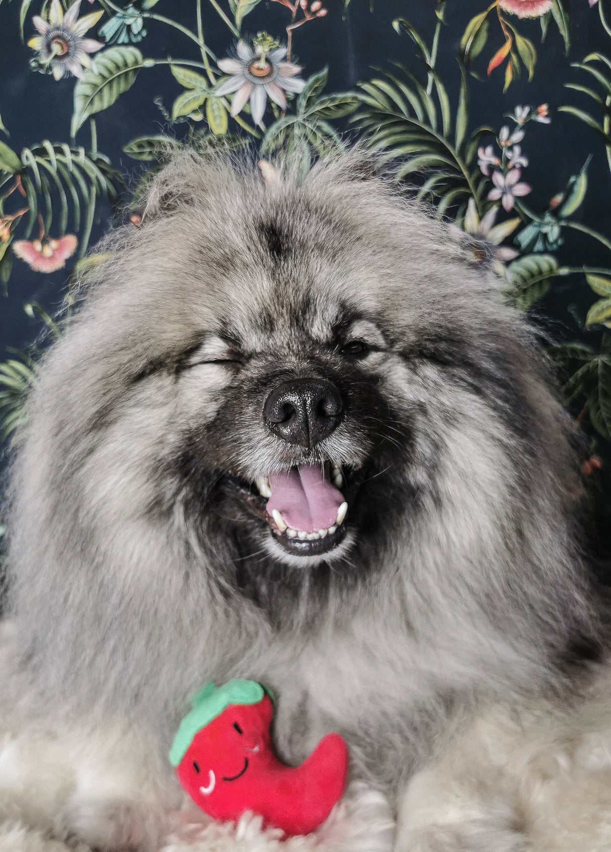 Frenkiez Veggiez Pepper - Premium Hondenspeeltje > Hondenspeelgoed from Frenkiez - Just €5! Shop now at Frenkiezdogshop