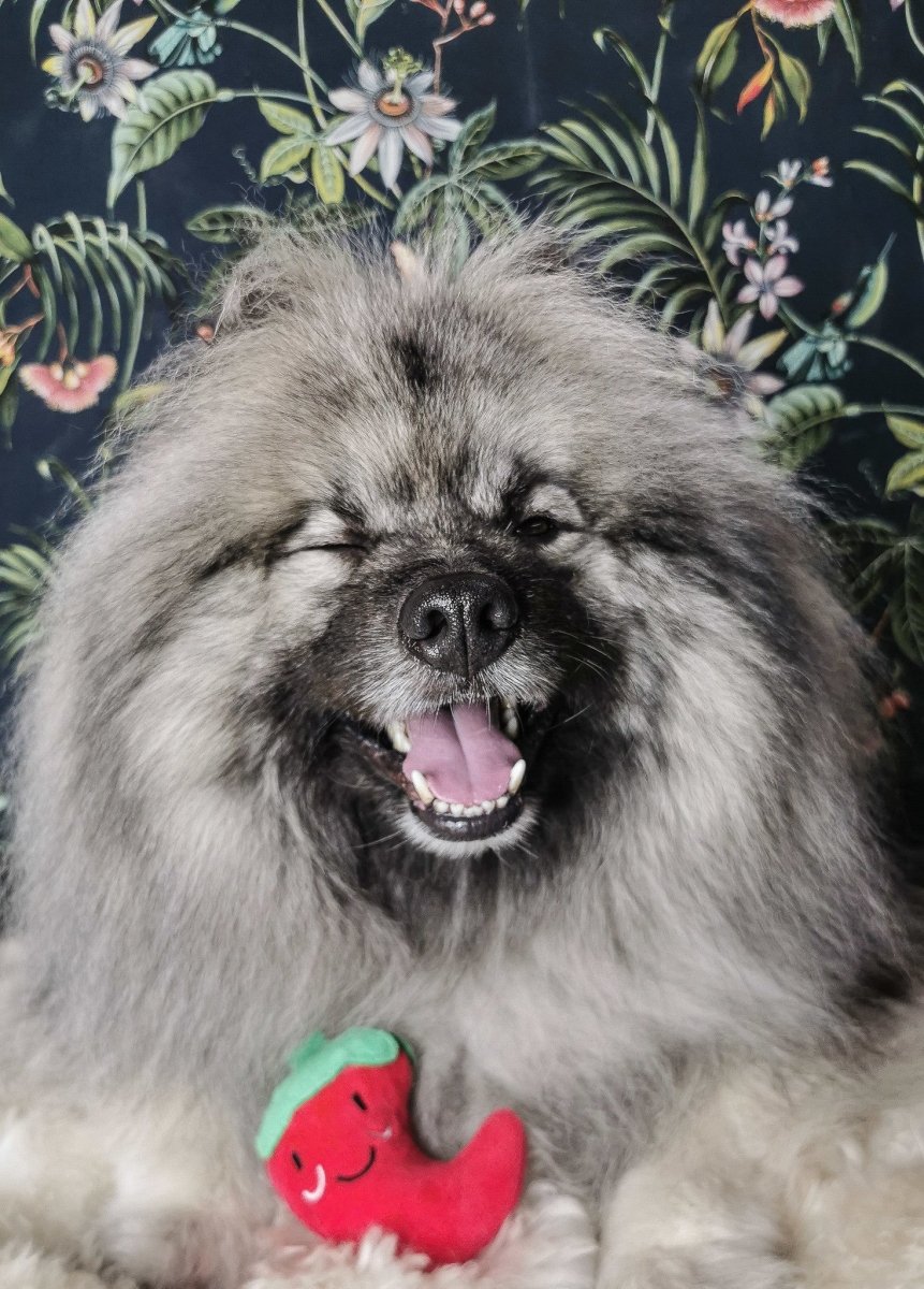 Frenkiez Veggiez Pepper Hondenspeeltje > Hondenspeelgoed Standaard/One Size