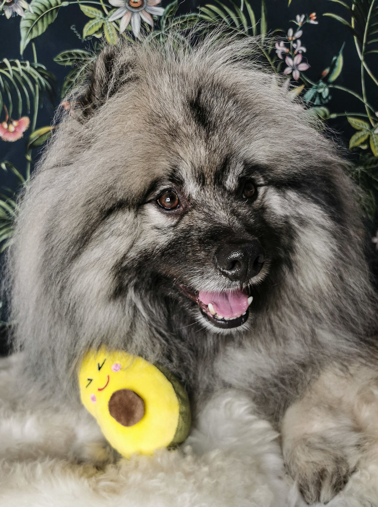 Frenkiez Veggiez Advocado 2.0 - Premium Hondenspeeltje > Hondenspeelgoed from Frenkiez - Just €5! Shop now at Frenkiezdogshop