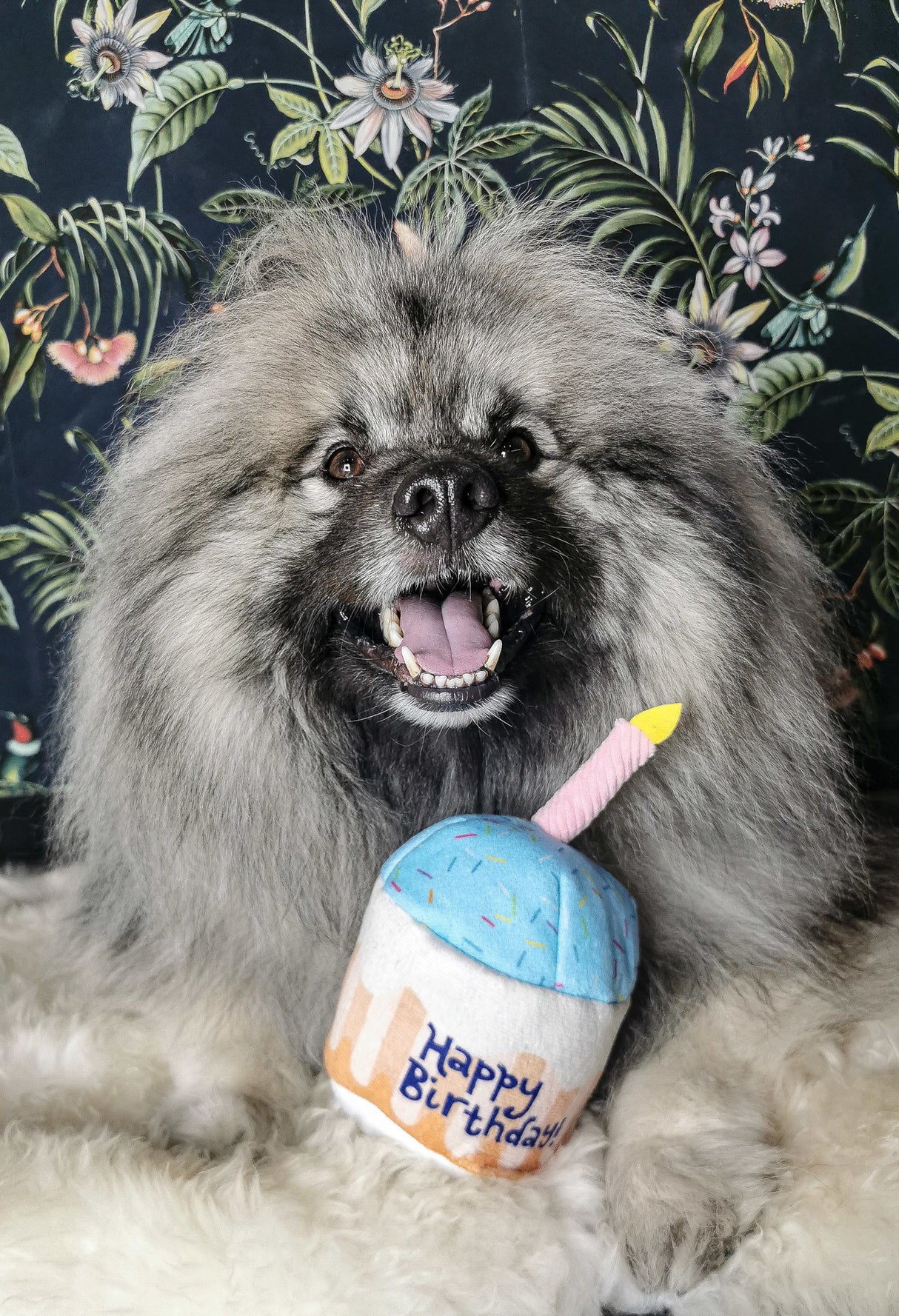 Frenkiez Partyz Cupcake Blue - Premium Hondenspeeltje > Hondenspeelgoed from Frenkiez - Just €8.99! Shop now at Frenkiezdogshop