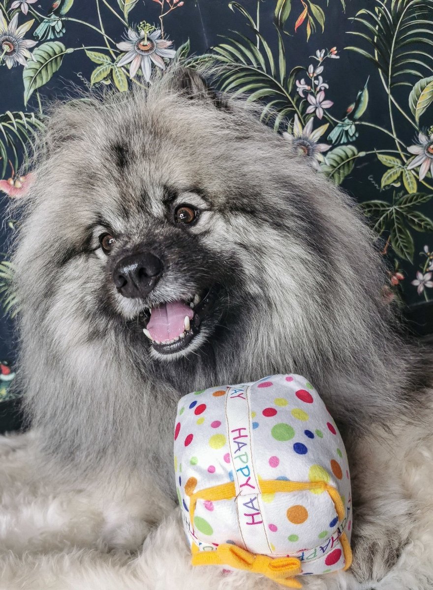 Frenkiez Partyz Present Hondenspeeltje > Hondenspeelgoed Standaard/One Size