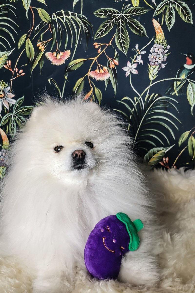 Frenkiez Veggiez Eggplant Hondenspeeltje > Hondenspeelgoed Standaard/One Size