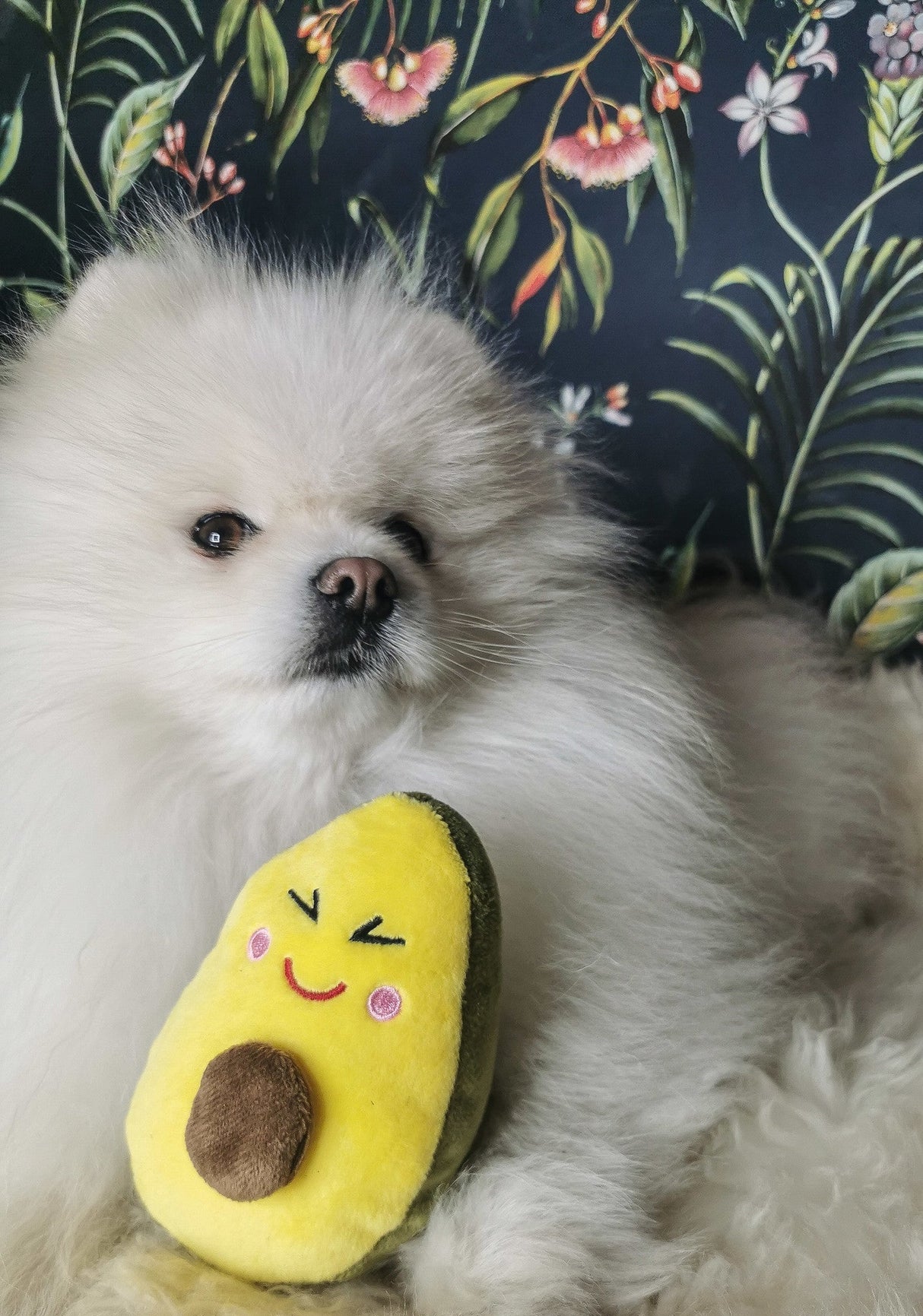 Frenkiez Veggiez Advocado 2.0 - Premium Hondenspeeltje > Hondenspeelgoed from Frenkiez - Just €5! Shop now at Frenkiezdogshop