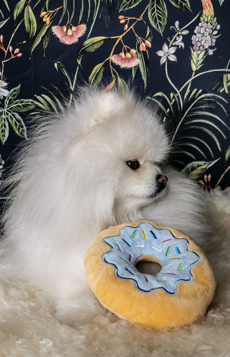 Frenkiez Sweetz Lightblue Donut Hondenspeeltje > Hondenspeelgoed one - size