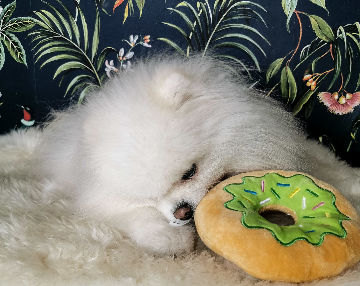 Frenkiez Sweetz Green Donut - Premium Hondenspeeltje > Hondenspeelgoed from Frenkiez - Just €5! Shop now at Frenkiezdogshop