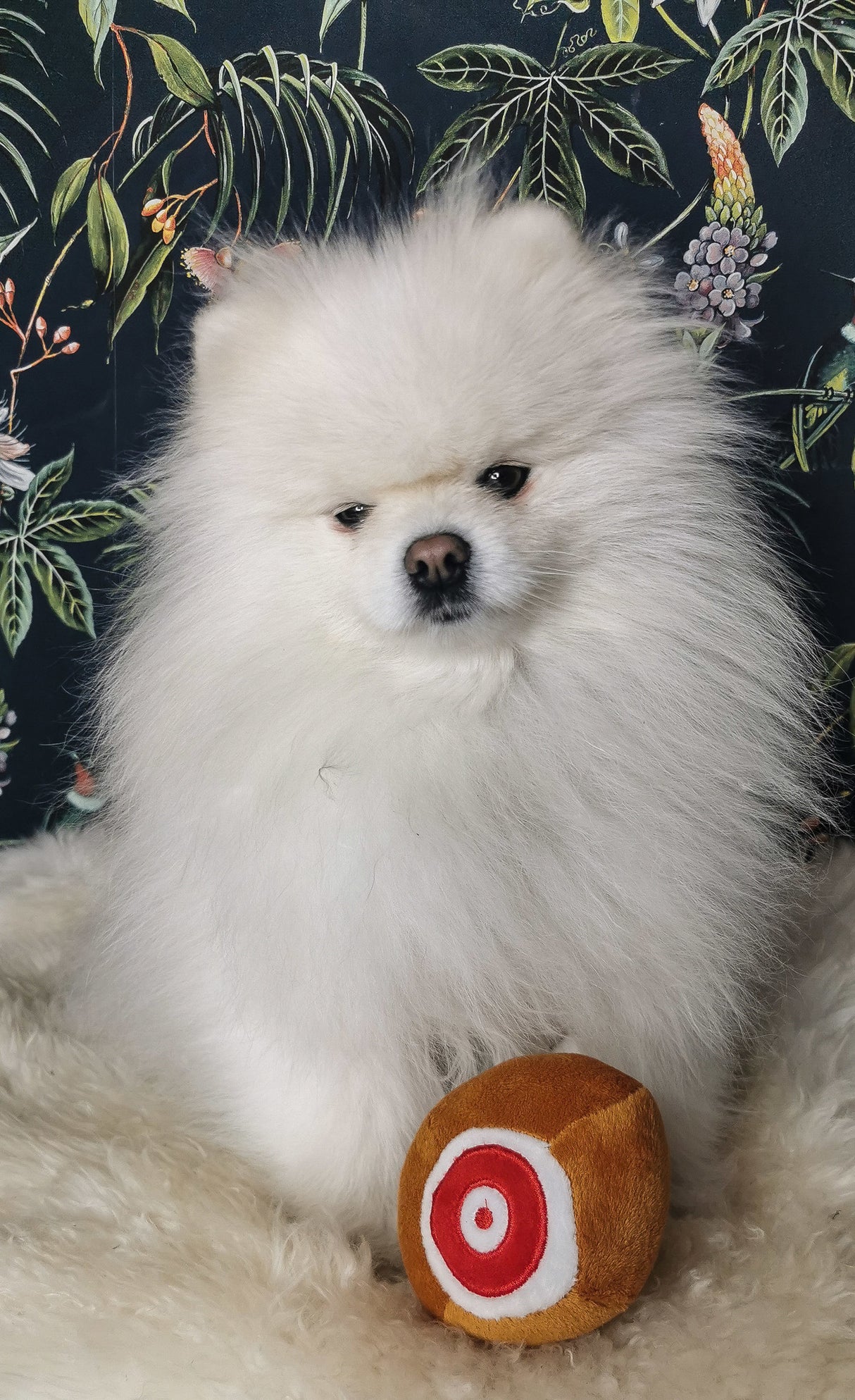 Frenkiez Snackz Chicken - Premium Hondenspeeltje > Hondenspeelgoed from Frenkiez - Just €5! Shop now at Frenkiezdogshop