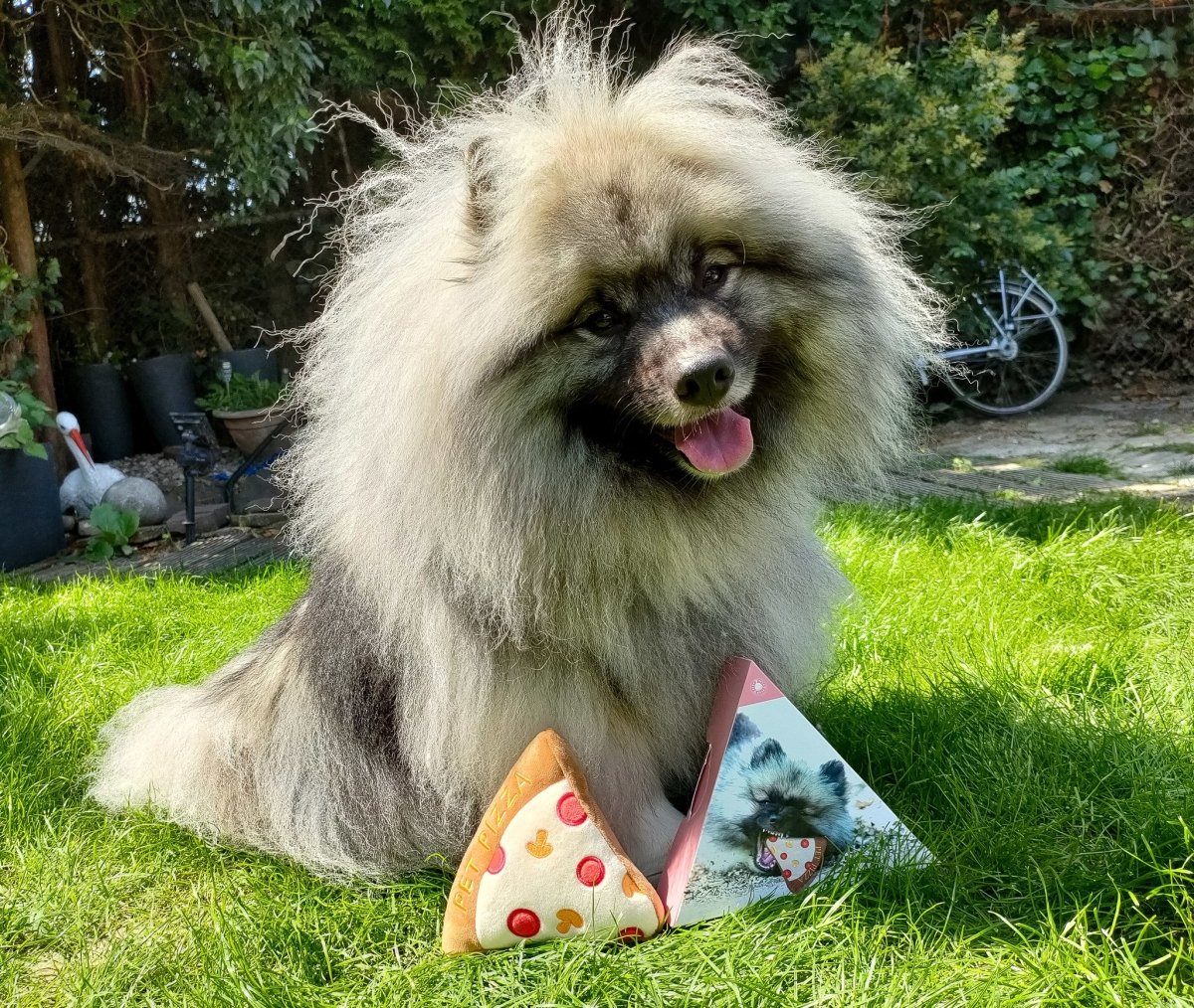 Frenkiez Pizza Doos Hondenspeeltje > Hondenspeelgoed Standaard/One Size