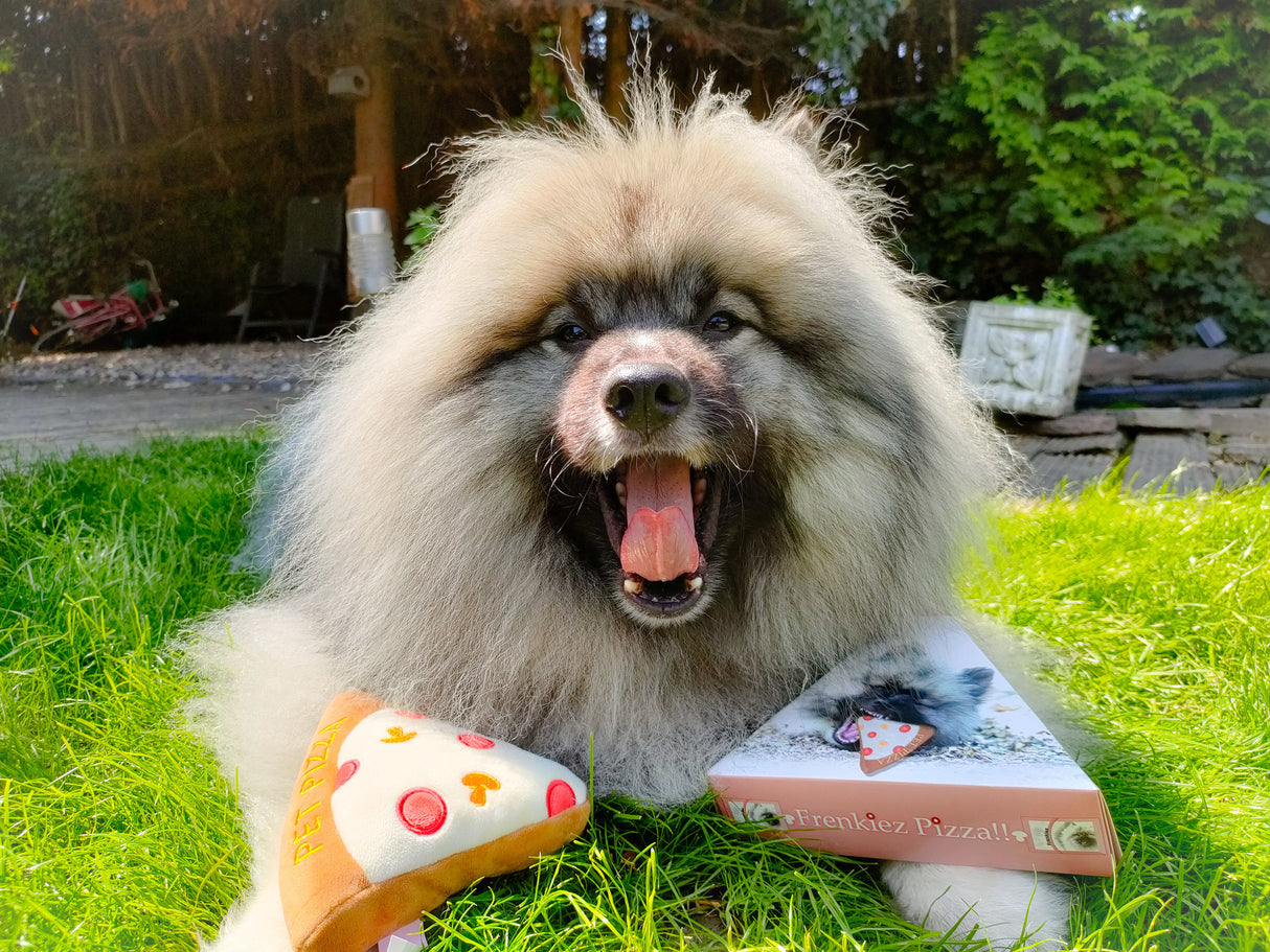 Frenkiez Pizza Doos - Premium Hondenspeeltje > Hondenspeelgoed from Frenkiez - Just €5! Shop now at Frenkiezdogshop