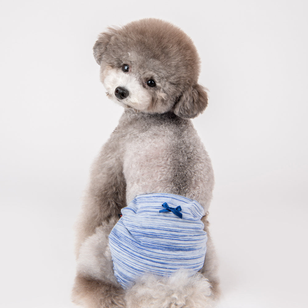 Puppia Florine sanitary panty Blue - Premium Loopsheidbroekje > Periodebroekje from Puppia - Just €10! Shop now at Frenkiezdogshop