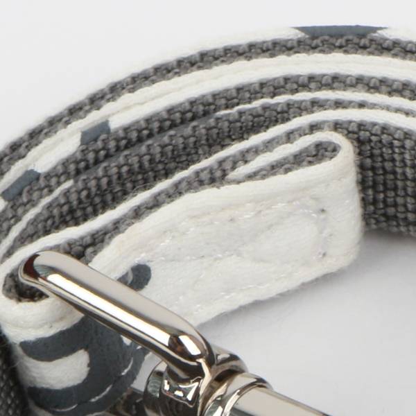 Puppia Algo Lijn White - Premium hondenriem > hondenlijn from Puppia - Just €5! Shop now at Frenkiezdogshop