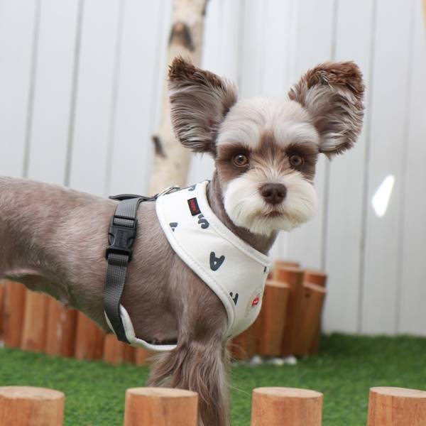 Puppia Algo Harness model A White - Premium hondentuig > honden harnas from Puppia - Just €10! Shop now at Frenkiezdogshop