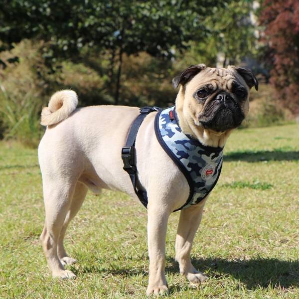 Puppia Bobby Harness model A Navy Camo - Premium hondentuig > honden harnas from Puppia - Just €20! Shop now at Frenkiezdogshop