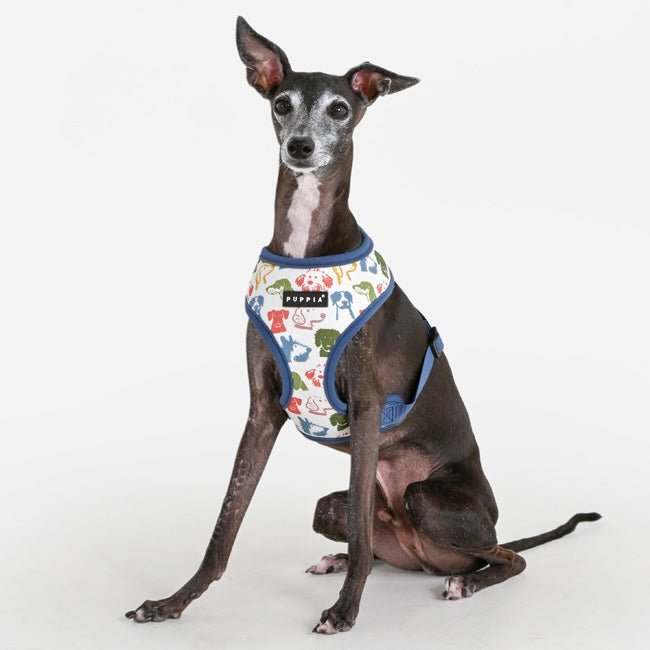 Puppia Connor Hondentuig Model A Blue hondentuig > honden harnas > model A Small