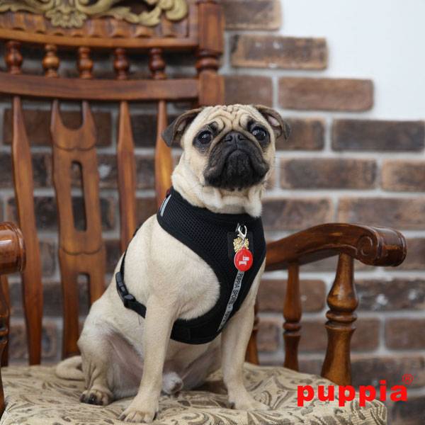 Puppia Dex Harness Model A Black - Premium hondentuig > honden harnas from Puppia - Just €20! Shop now at Frenkiezdogshop