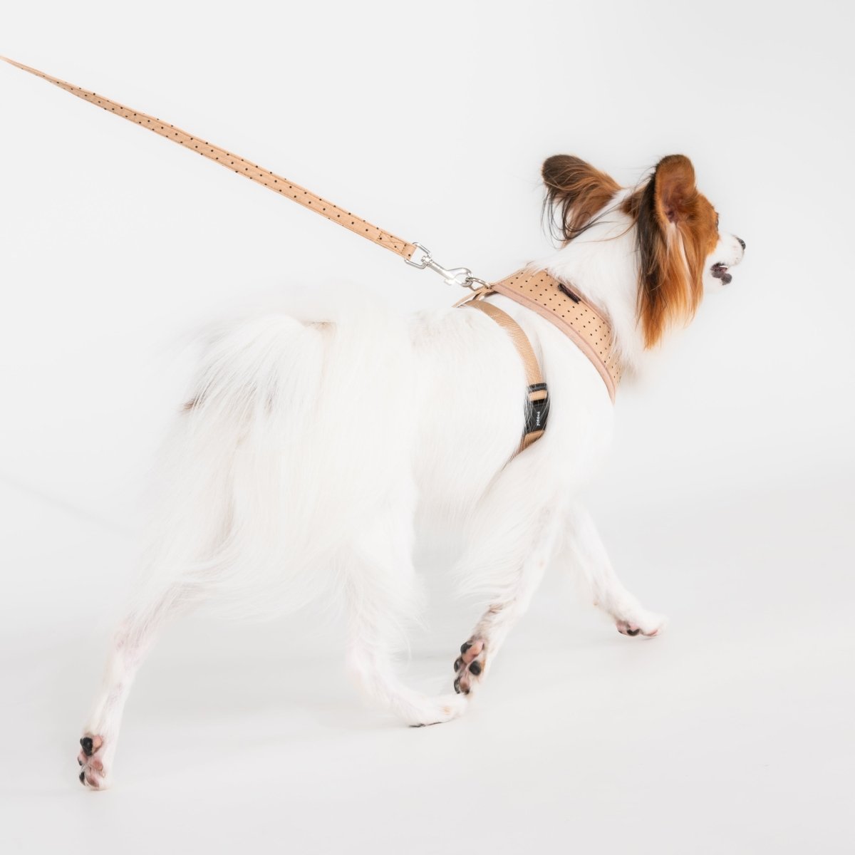 Puppia Dotty Hondentuig Model A Beige hondentuig > honden harnas > model A X - Small