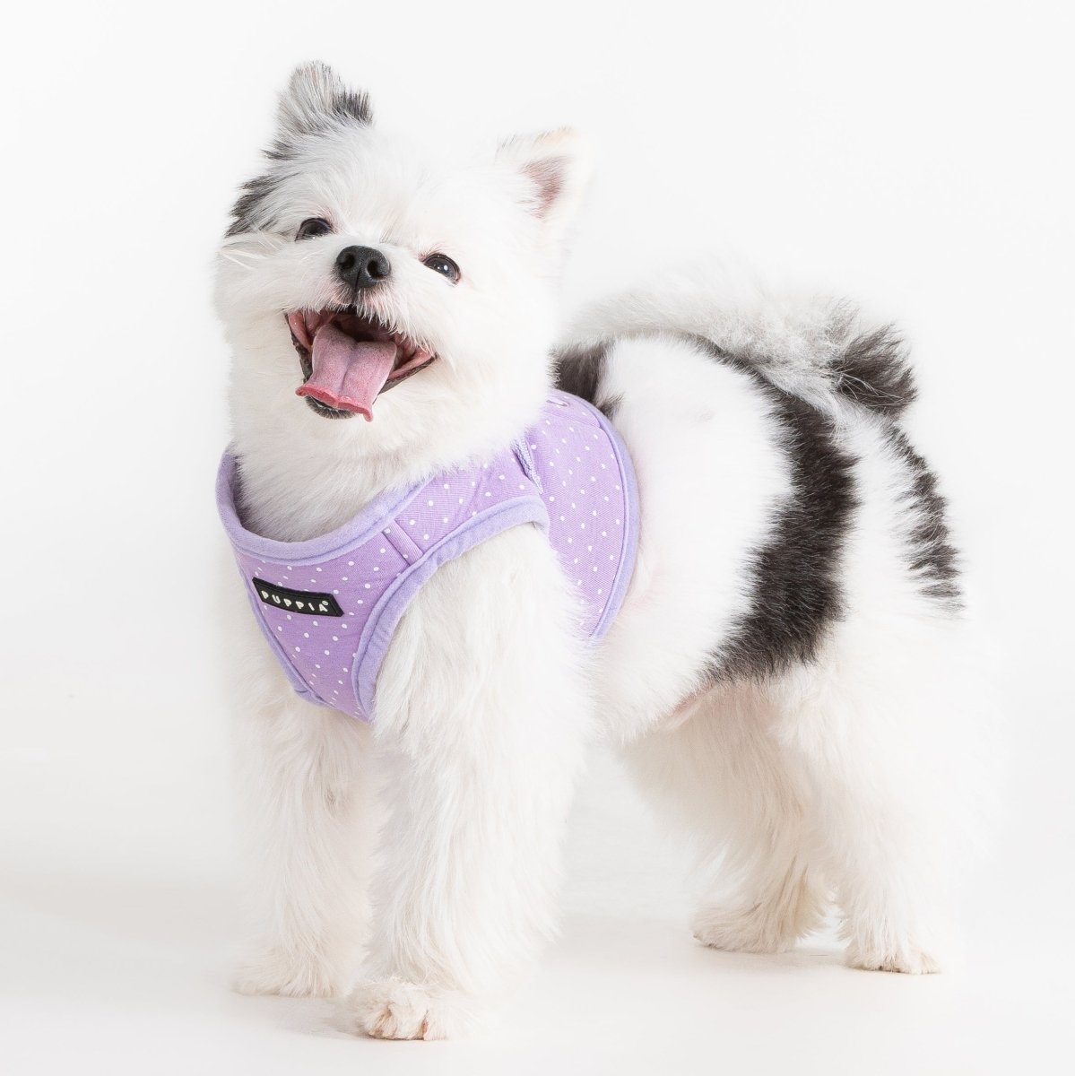 Puppia Dotty Vest Harness Model B Violet hondentuig > honden harnas > model B Small