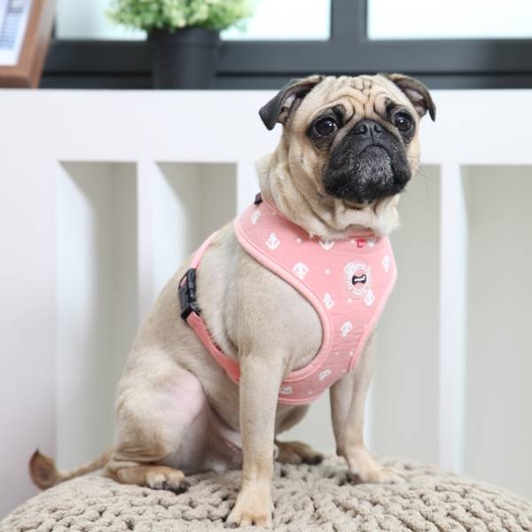 Puppia Ernest Harness model A Pink ( LARGE ) - Premium hondentuig > honden harnas from Puppia - Just €20! Shop now at Frenkiezdogshop