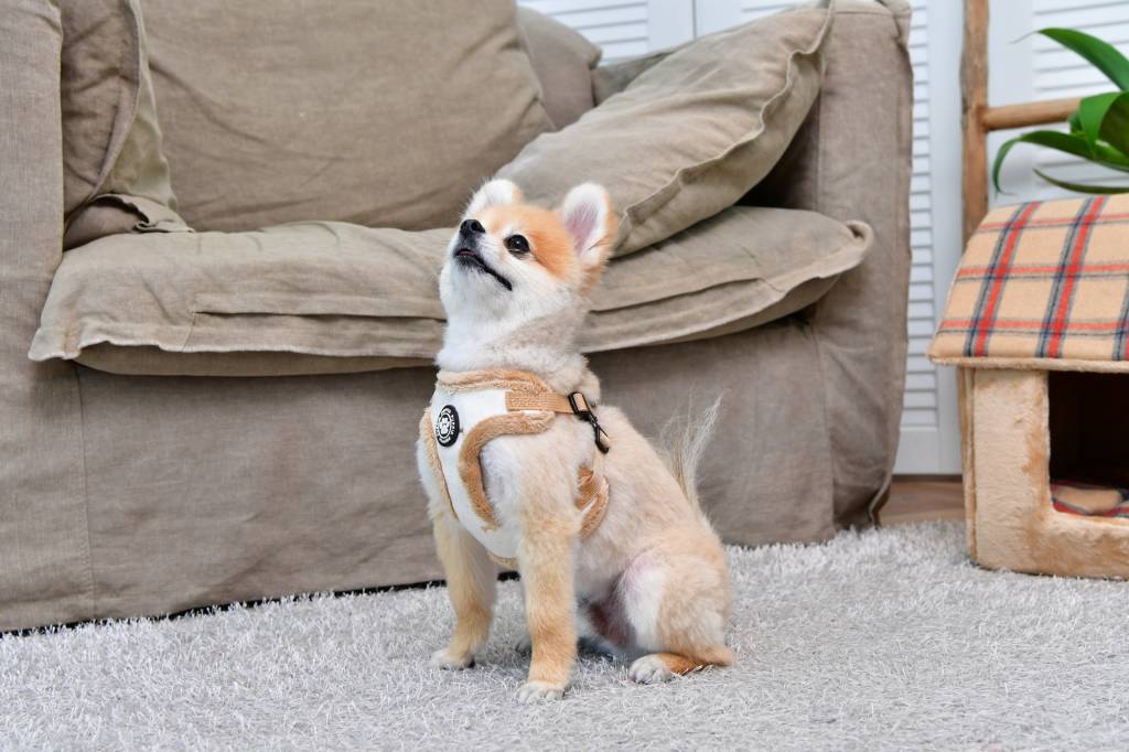Puppia Gia Harness model A Ivory hondentuig > honden harnas > model A Small