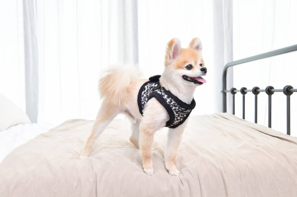 Puppia Leonard Vest Harness model B Black hondentuig > honden harnas > model B Small
