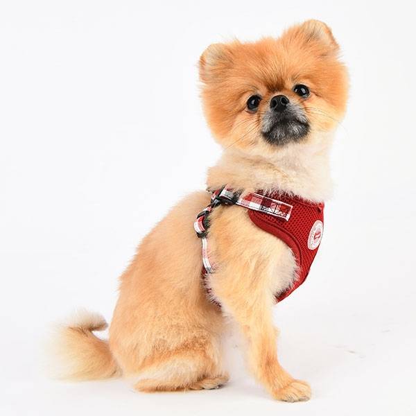 Puppia Neil Harness Wine Model C - Premium hondentuig > honden harnas from Puppia - Just €20! Shop now at Frenkiezdogshop