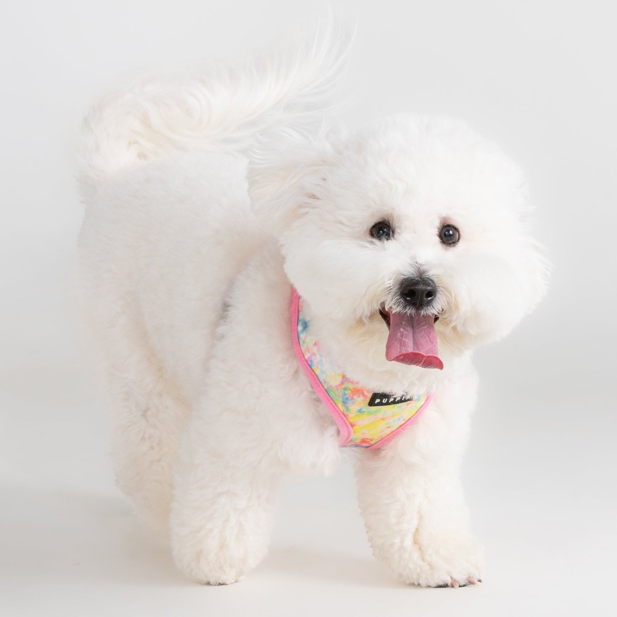 Puppia Nola Hondentuig Model A Pink hondentuig > honden harnas > model A Small