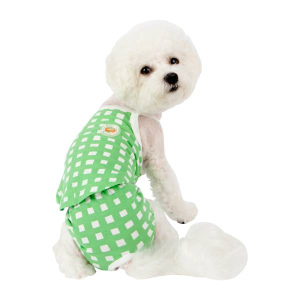 Puppia Ava sanitary panty green - Premium Loopsheidbroekje > Periodebroekje from Puppia - Just €10! Shop now at Frenkiezdogshop