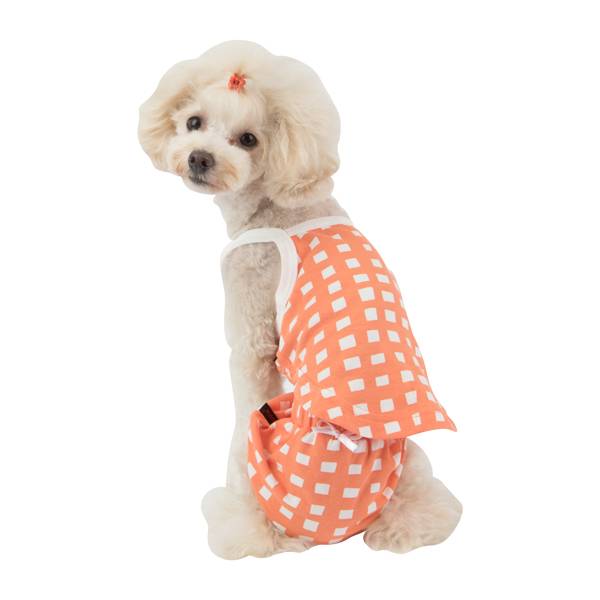 Puppia Ava sanitary panty orange - Premium Loopsheidbroekje > Periodebroekje from Puppia - Just €10! Shop now at Frenkiezdogshop