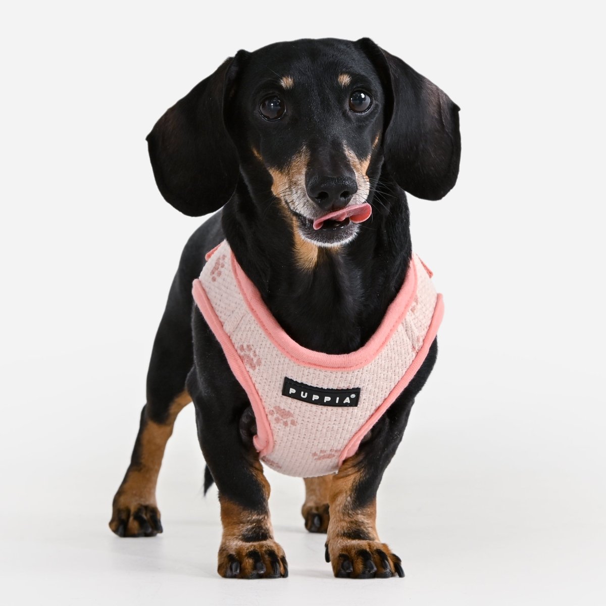 Puppia Pawprint Vest Harness Model B Pink hondentuig > honden harnas > model B Small