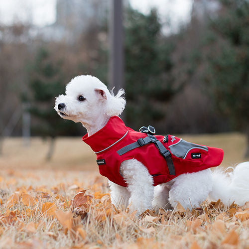 Puppia Teton  Harness Jacket Red - Premium Hondenkleding > hondenjas from Puppia - Just €39.99! Shop now at Frenkiezdogshop