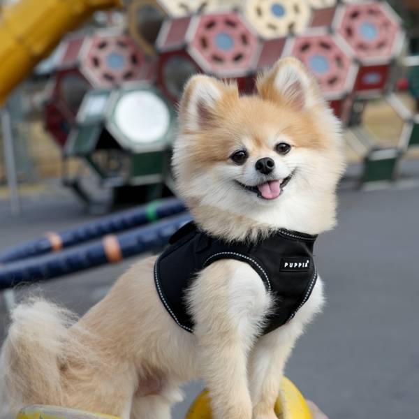 Puppia Trek Vest Harness model B Black - Premium hondentuig > honden harnas from Puppia - Just €20! Shop now at Frenkiezdogshop