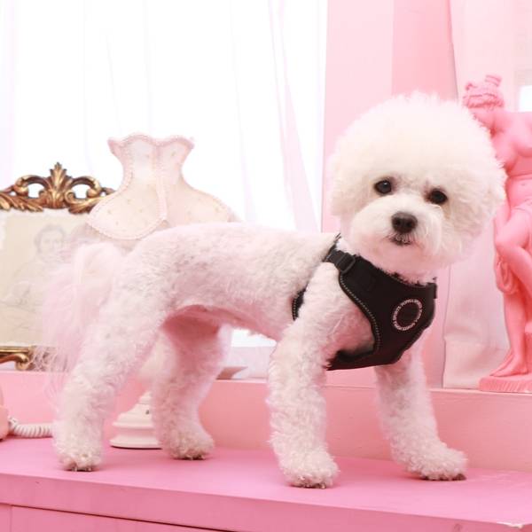 Puppia Trek harness model C Black ( XLARGE ) - Premium hondentuig > honden harnas from Puppia - Just €20! Shop now at Frenkiezdogshop