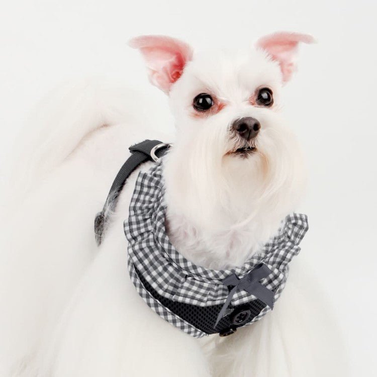 Puppia Vivien Hondentuig Model A Black – Lichtgewicht Harnasje voor Kleine Honden hondentuig > honden harnas > model A X - Small