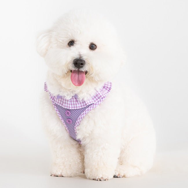 Puppia Vivien Hondentuig Model A Violet – Lichtgewicht Harnasje voor Kleine Honden hondentuig > honden harnas > model A X - Small