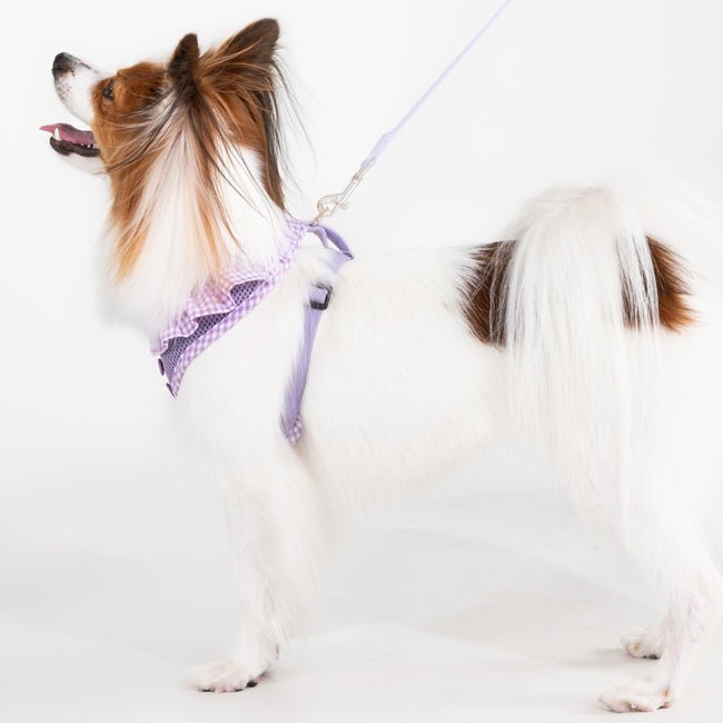 Puppia Vivien Hondentuig Model A Violet – Lichtgewicht Harnasje voor Kleine Honden hondentuig > honden harnas > model A X - Small