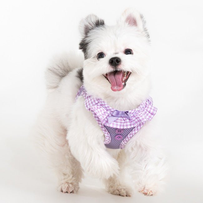 Puppia Vivien Vest Harness Model B Violet - Hondentuig hondentuig > honden harnas > model B X - Small